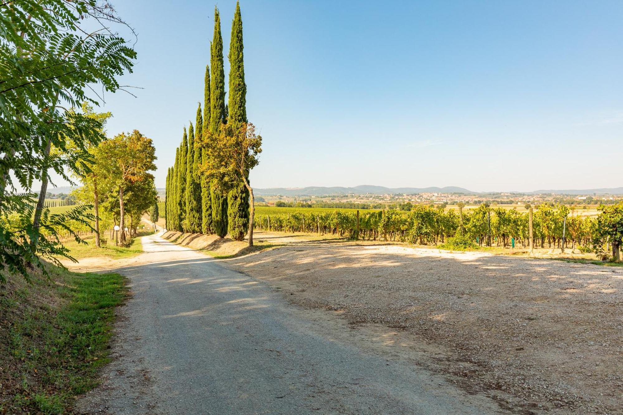 Appartamento Nobile Montepulciano Stazione المظهر الخارجي الصورة